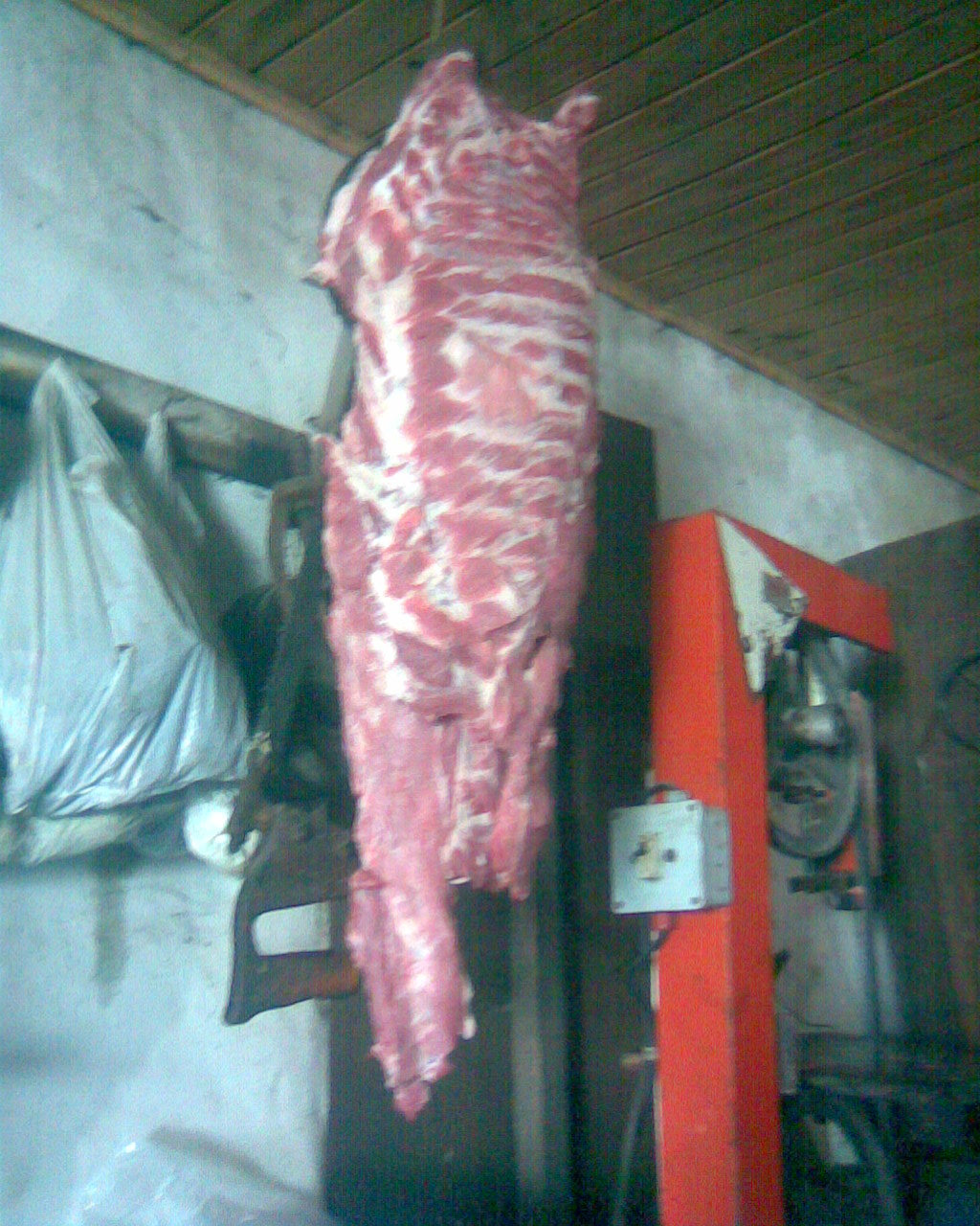 fotos/2009-06-10 - Carneada/Imagen044.jpg